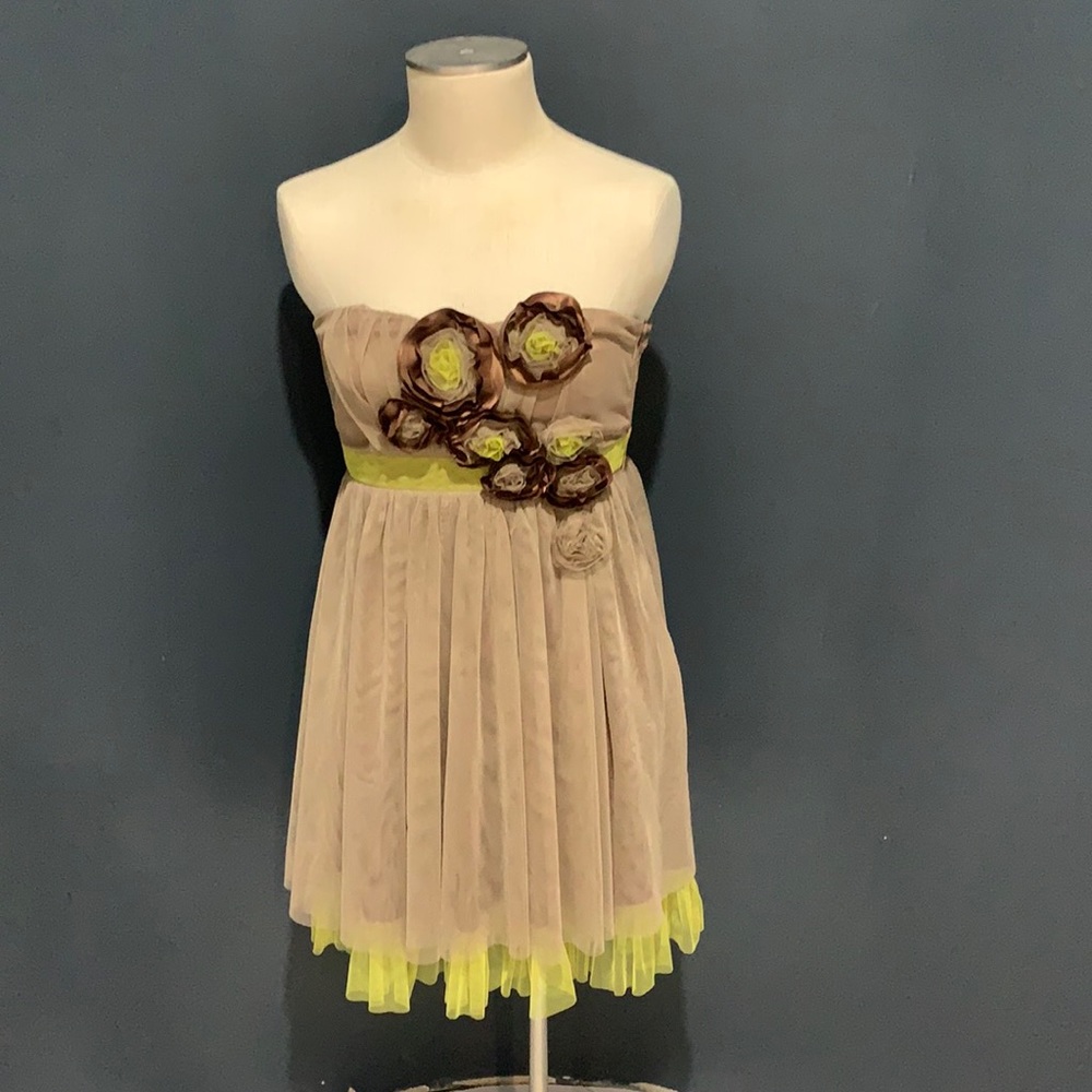 Beautiful strapless Ryu dress